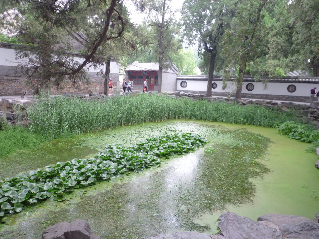 P1040507
