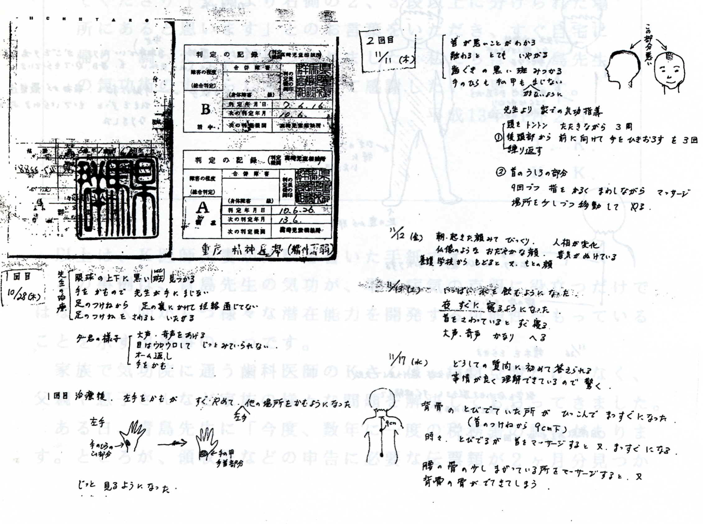 気功会報：重度の精神遅滞・精神薄弱と判定されていた自閉症児の手帳と母親による回復の記録